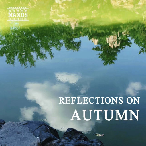 包头窗帘杆生产厂家用小狼营销导航
